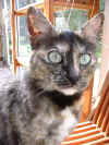 The Queen (April 2003)