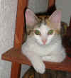 �Qu� raspe tenemos!