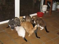 All together now!